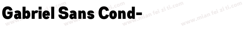 Gabriel Sans Cond字体转换